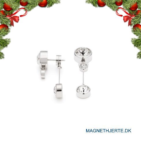 Elegante øreringe i poleret ædelstål fra Magnethjerte