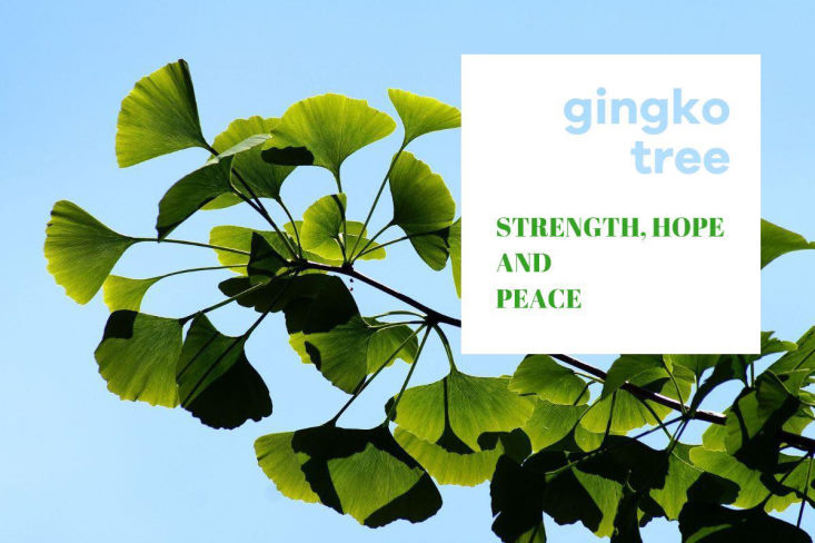 ginko-bladsmykker-fra-magnethjerte-webshop